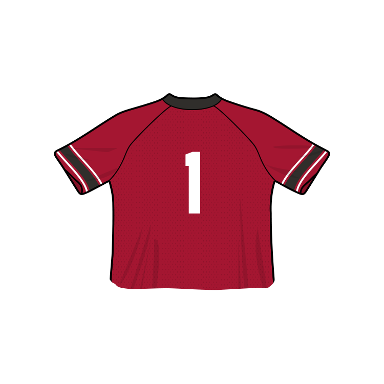 Louisville Cardinals Fashion Cropped Football Jersey