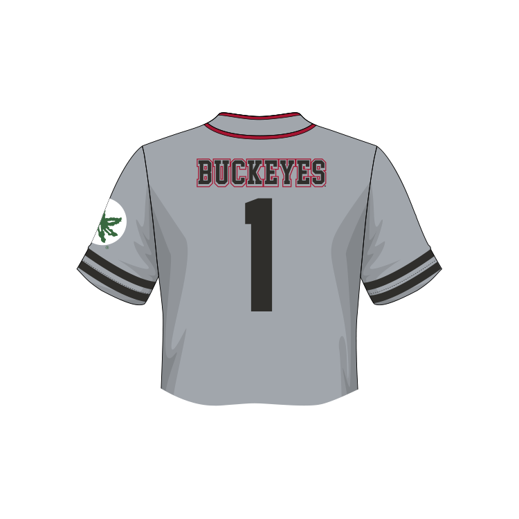 Ohio State Buckeyes Fashion Cropped Baseball Jersey