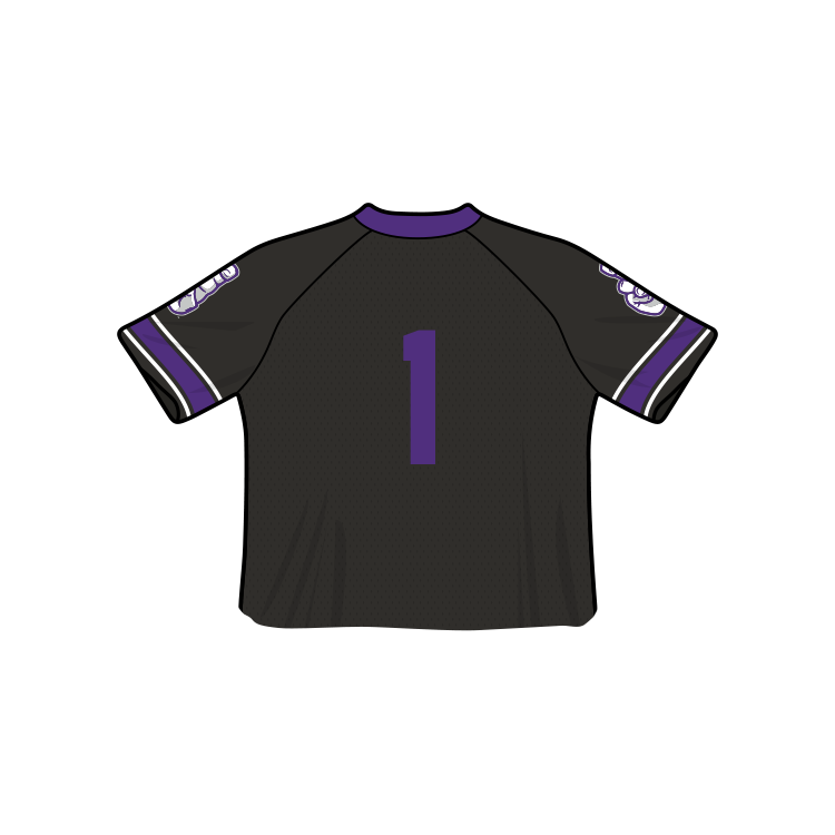 TCU Horned Frogs Fashion Cropped Football Jersey