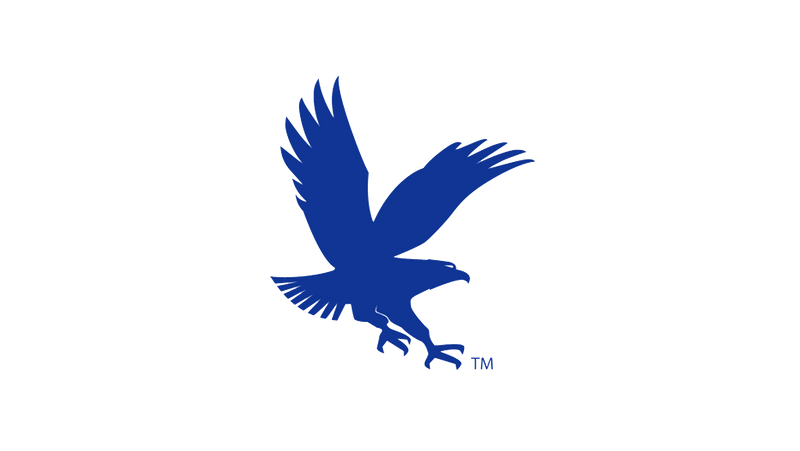 Embry-Riddle Eagles