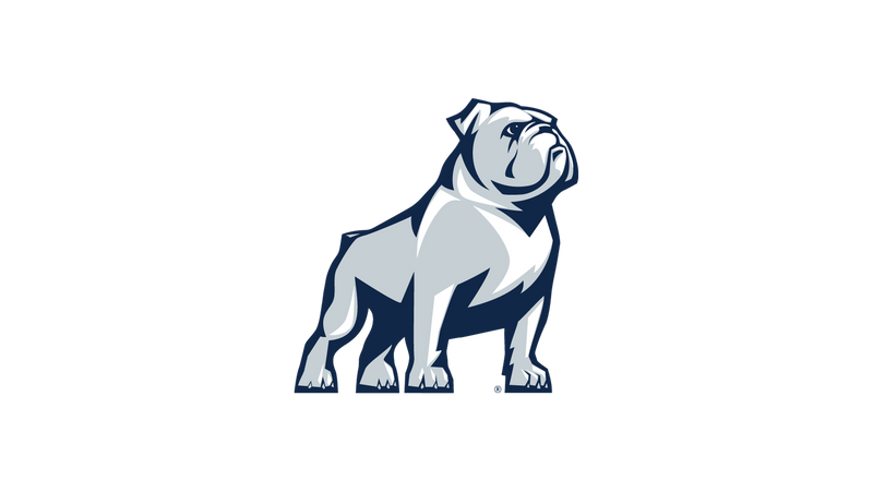Samford Bulldogs