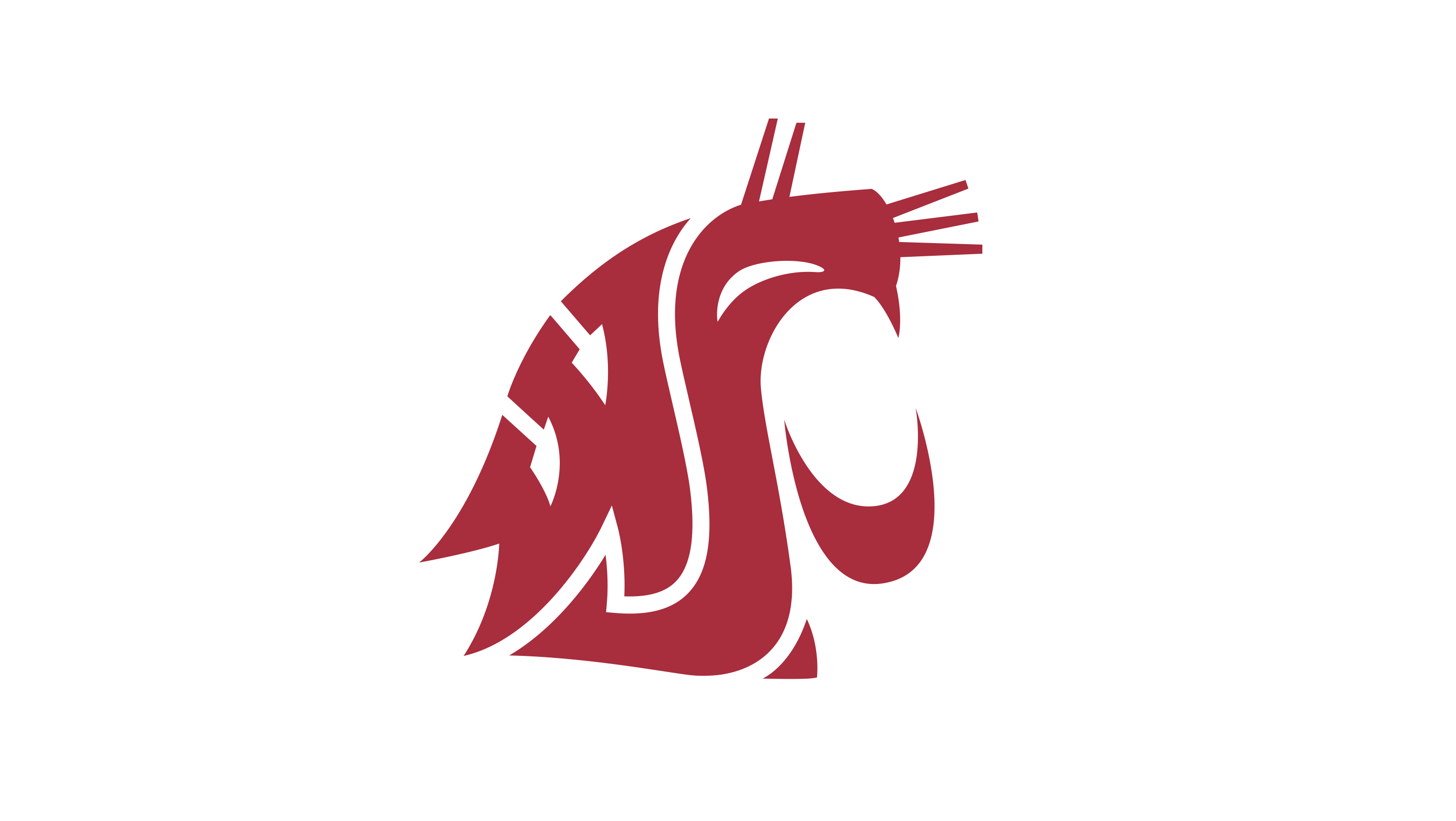 Washington State Cougars