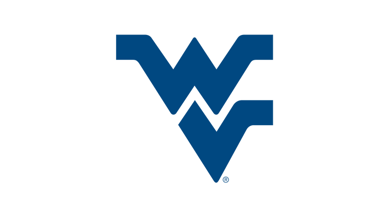 West Virginia Mountaineers