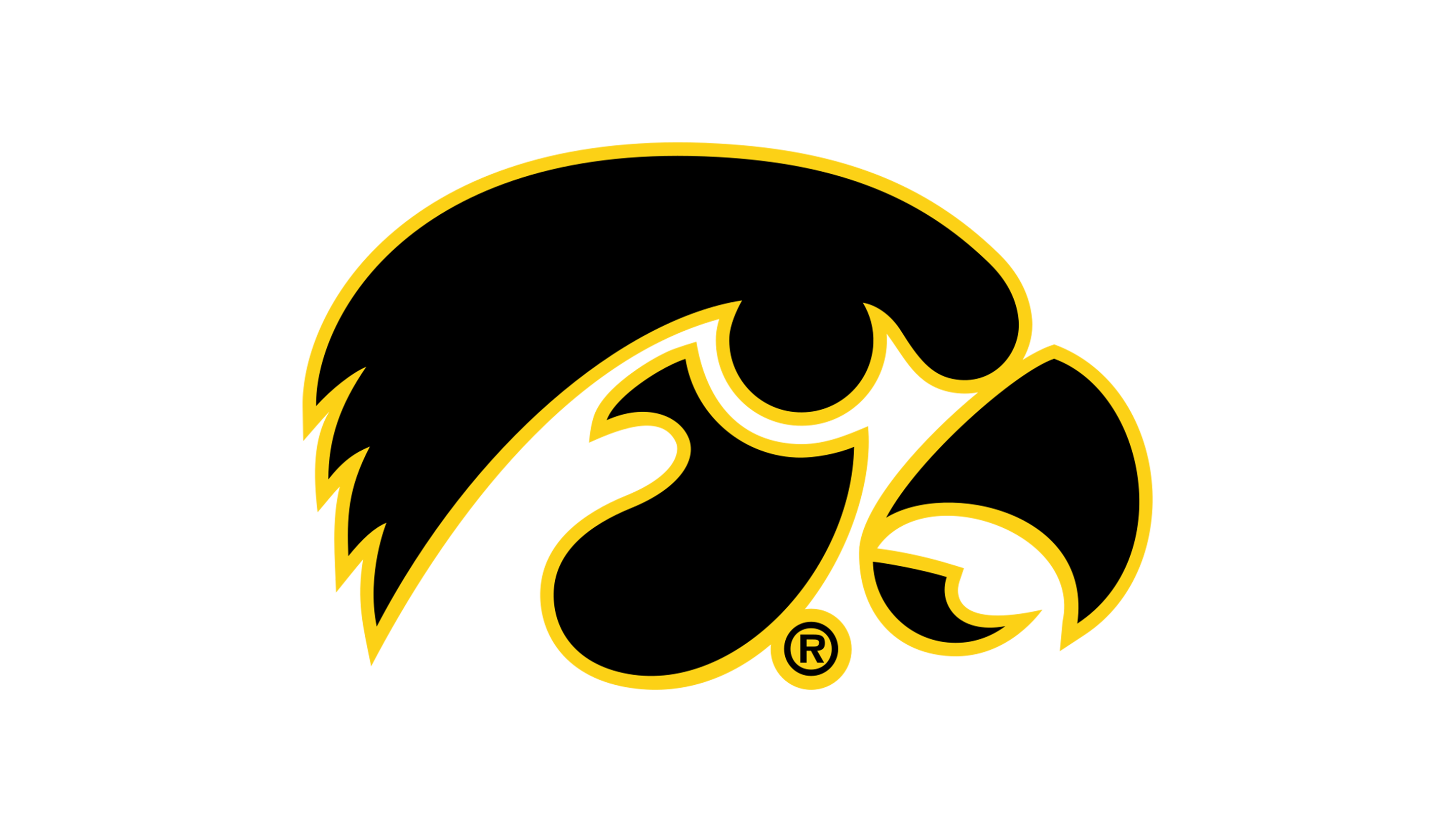 Iowa Hawkeyes