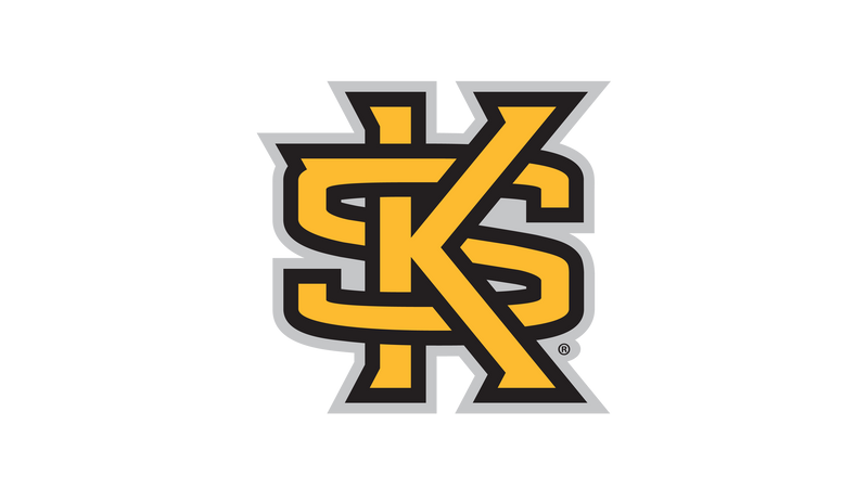 Kennesaw State Owls