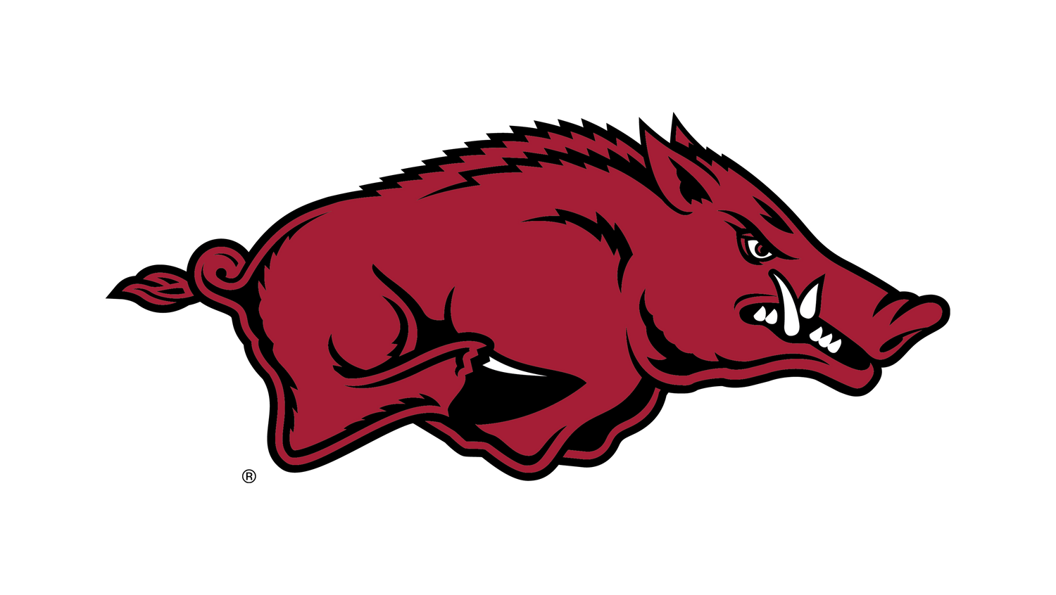 Arkansas Razorbacks