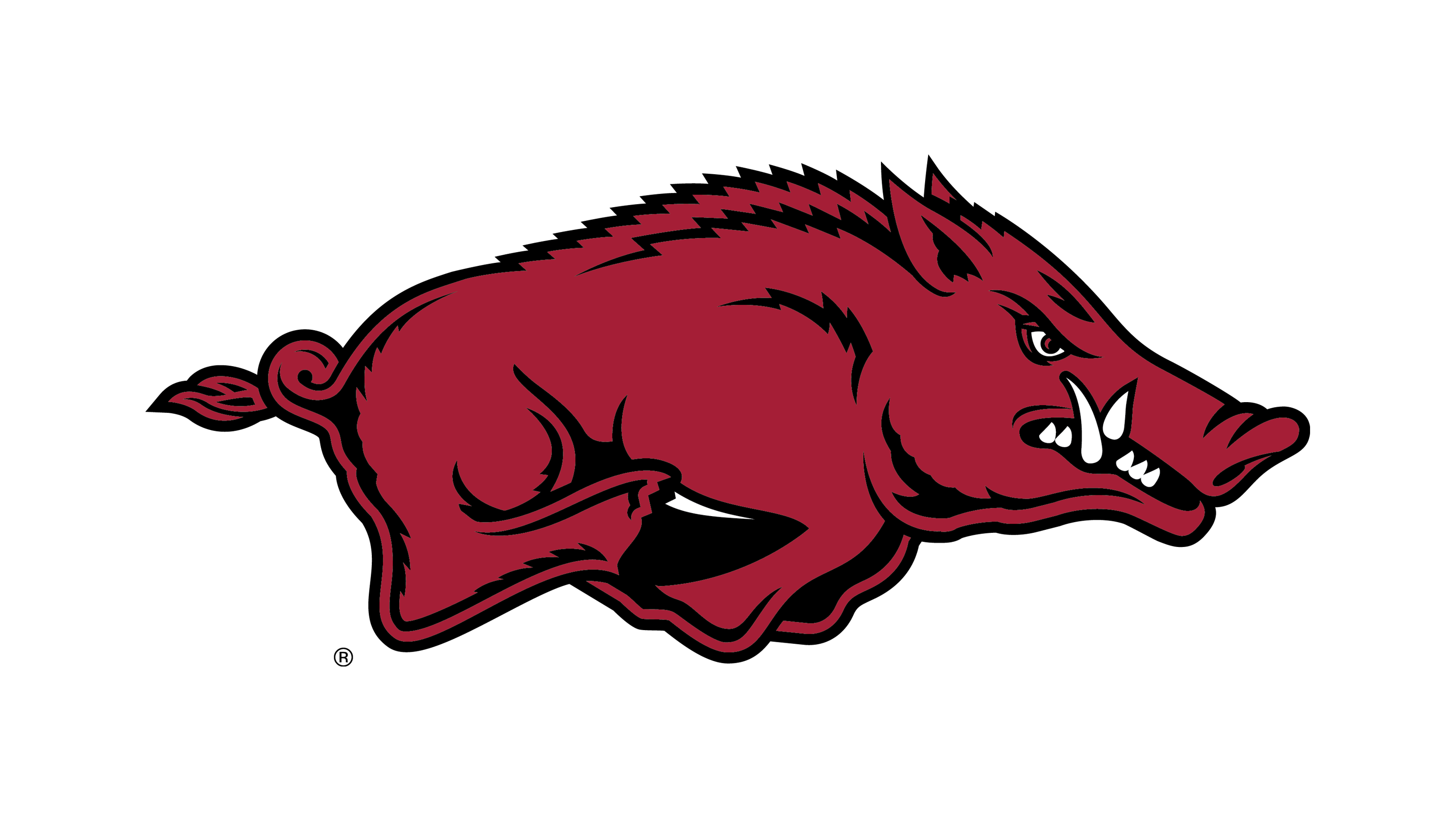 Arkansas Razorbacks