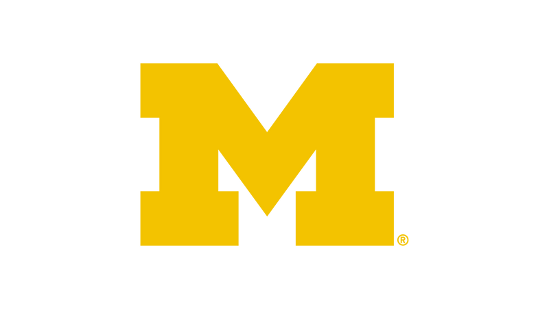 Michigan Wolverines