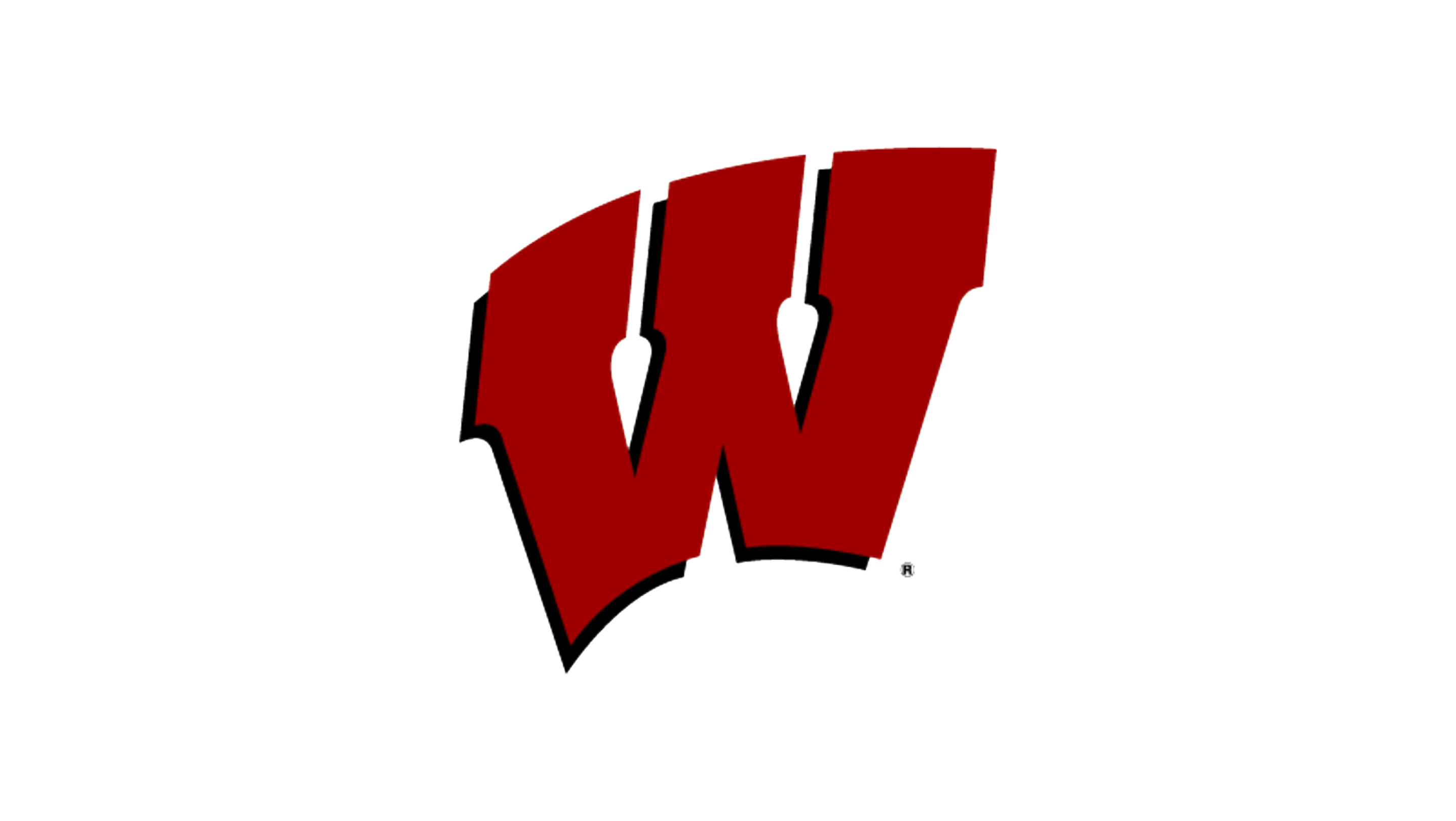 Wisconsin Badgers