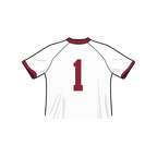 Arkansas Razorbacks Fashion Cropped Football Jersey