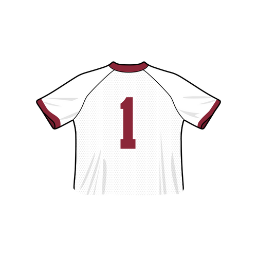 Arkansas Razorbacks Fashion Cropped Football Jersey