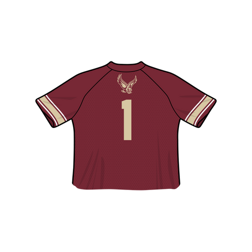 Boston College Eagles Fashion Cropped Football Jersey