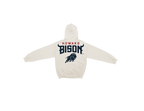 Howard Bison Bone Chenille Pullover Hoodie