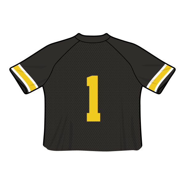 Iowa Hawkeyes Fashion Cropped Football Jersey