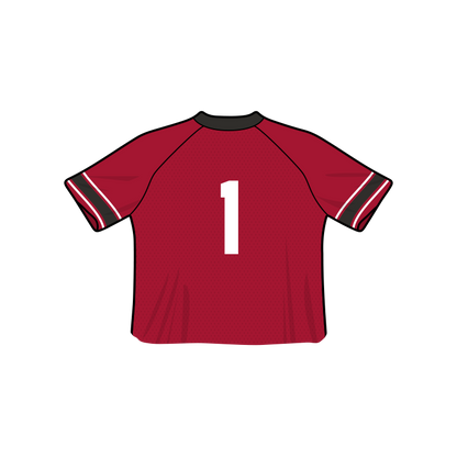 Louisville Cardinals Fashion Cropped Football Jersey