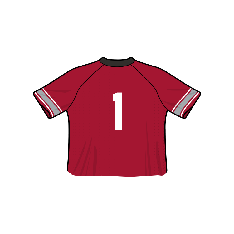 Ohio State Buckeyes Fashion Cropped Football Jersey