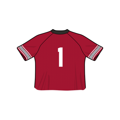 Ohio State Buckeyes Fashion Cropped Football Jersey