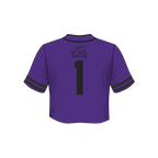 TCU Horned Frogs Fashion Cropped Baseball Jersey