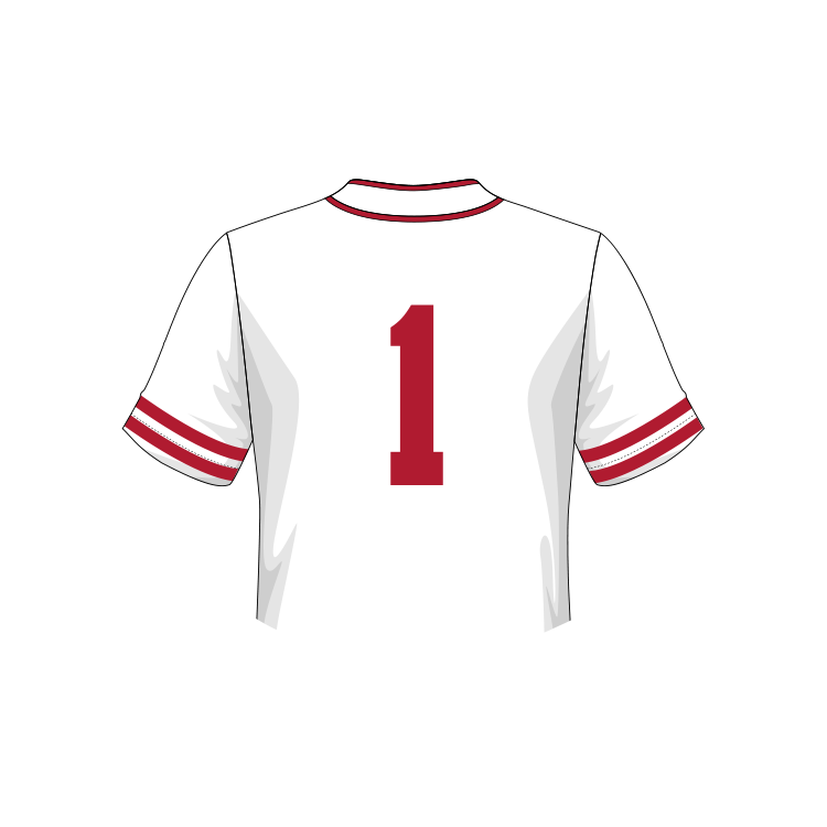 Houston Cougars Fashion Cropped Baseball Jersey