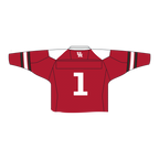 Houston Cougars Fashion Cropped Hockey Jersey