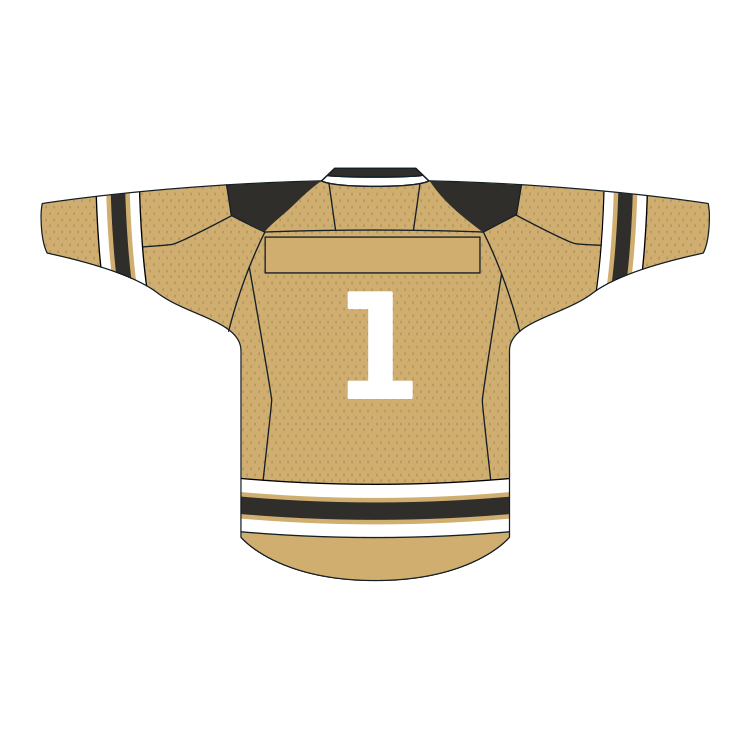 Vanderbilt Commodores Fashion Hockey Jersey