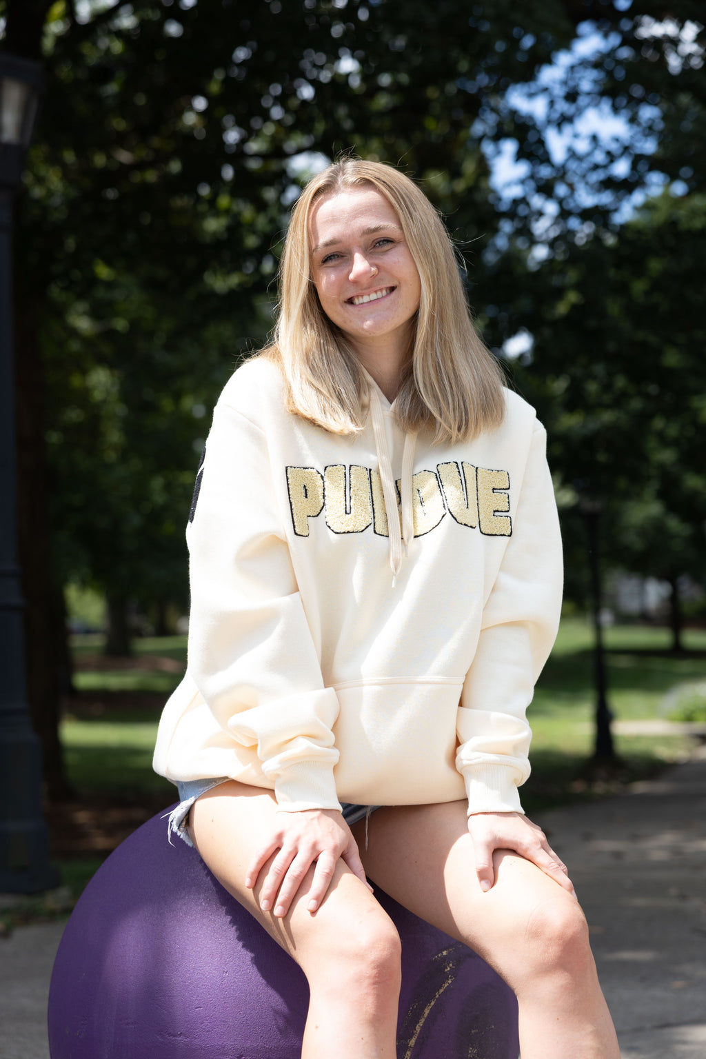 Purdue Boilermakers Bone Chenille Pullover Hoodie