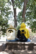 Iowa Hawkeyes Bone Chenille Pullover Hoodie
