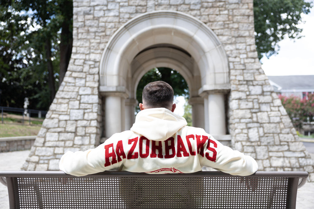 Arkansas Razorbacks Bone Chenille Pullover Hoodie