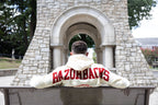 Arkansas Razorbacks Bone Chenille Pullover Hoodie